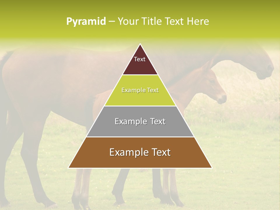 Meadow Animal Young PowerPoint Template