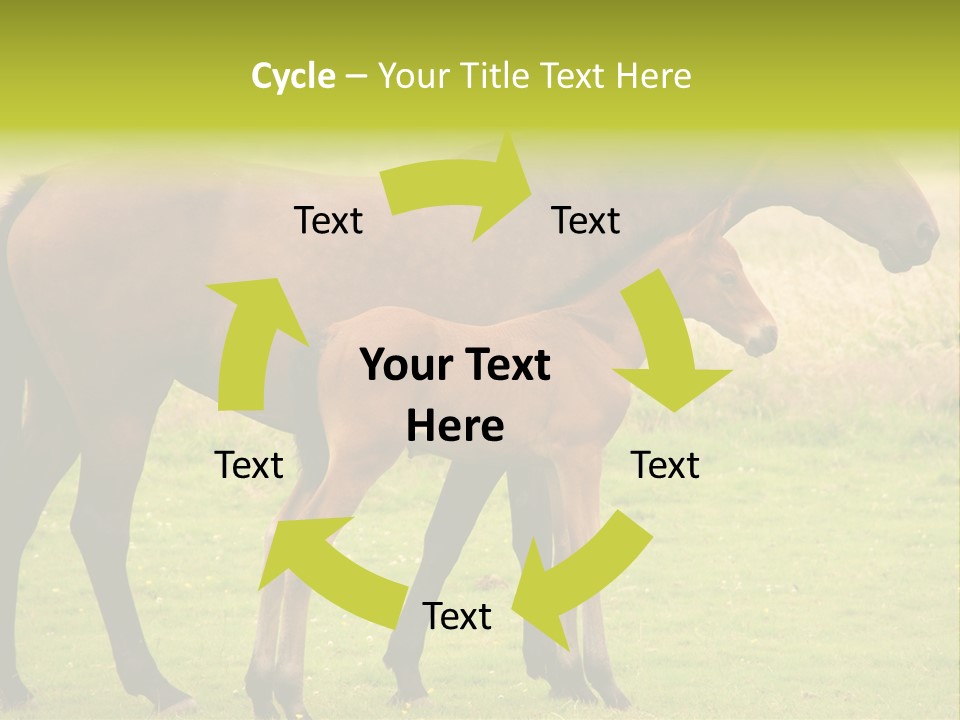 Meadow Animal Young PowerPoint Template