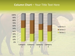 Meadow Animal Young PowerPoint Template