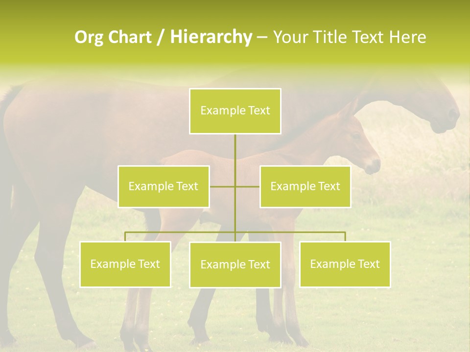 Meadow Animal Young PowerPoint Template