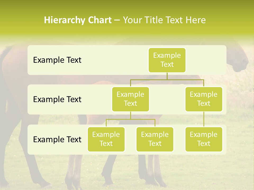 Meadow Animal Young PowerPoint Template
