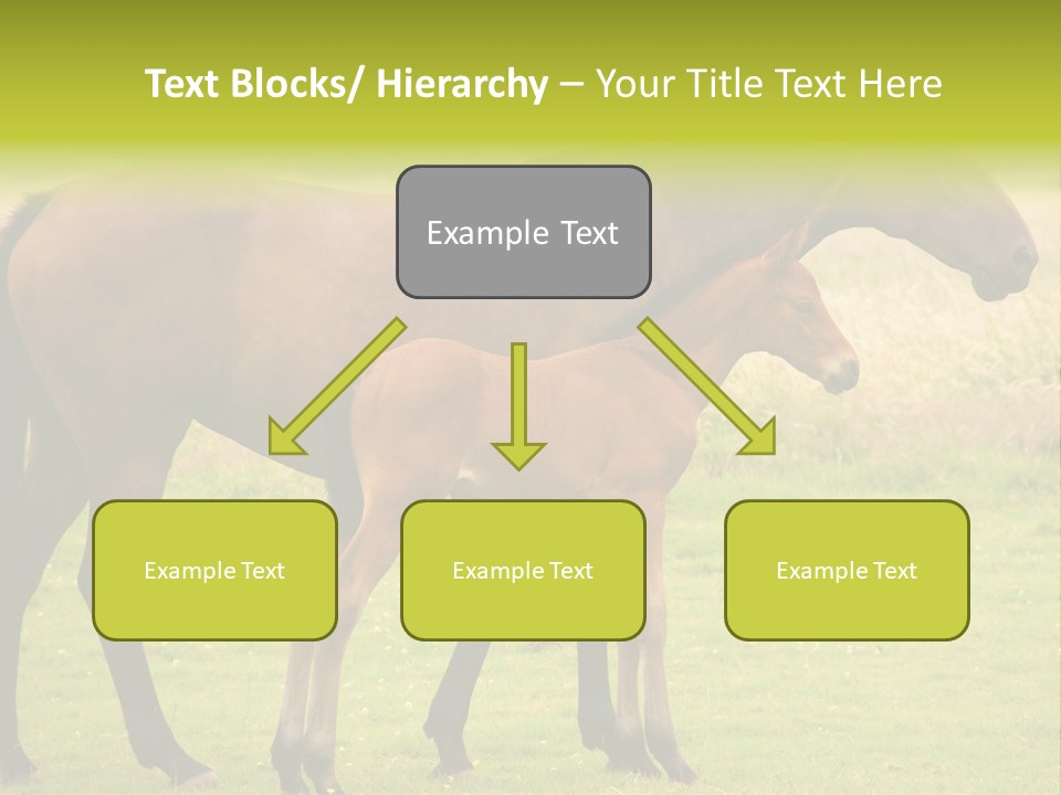 Meadow Animal Young PowerPoint Template