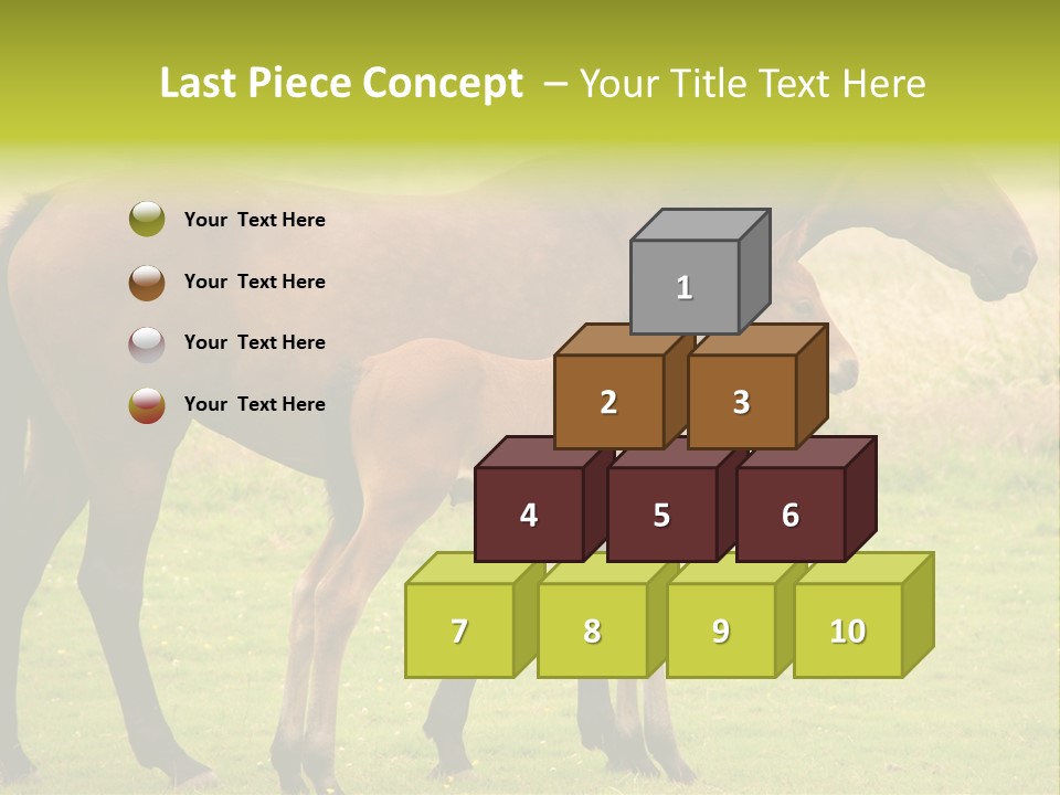 Meadow Animal Young PowerPoint Template