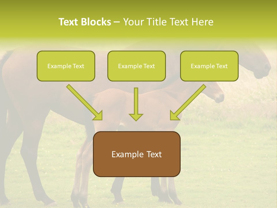 Meadow Animal Young PowerPoint Template