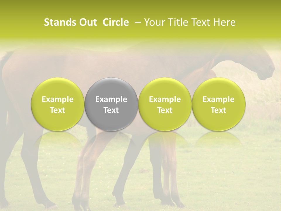 Meadow Animal Young PowerPoint Template