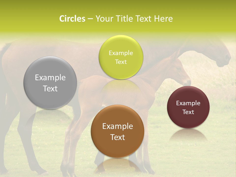 Meadow Animal Young PowerPoint Template