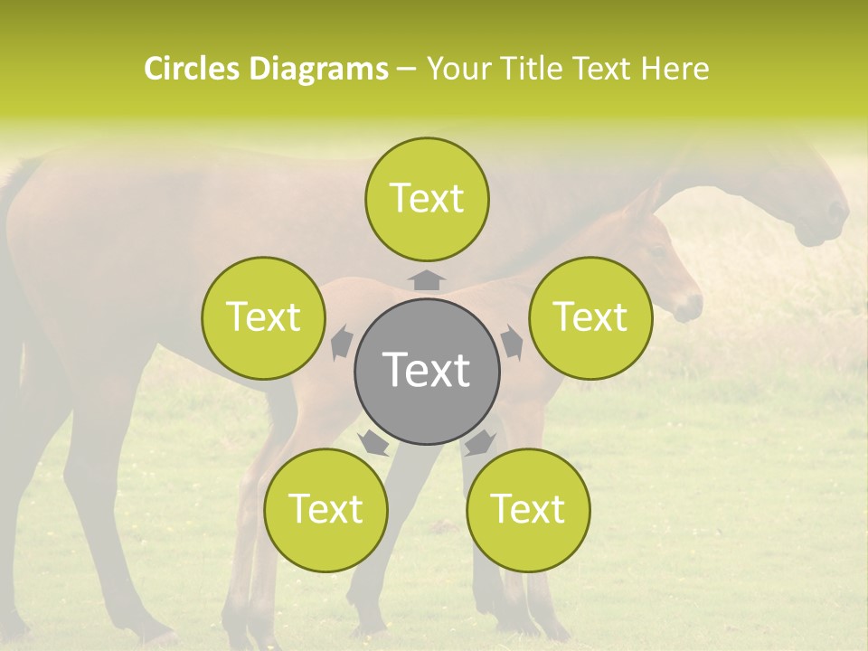 Meadow Animal Young PowerPoint Template