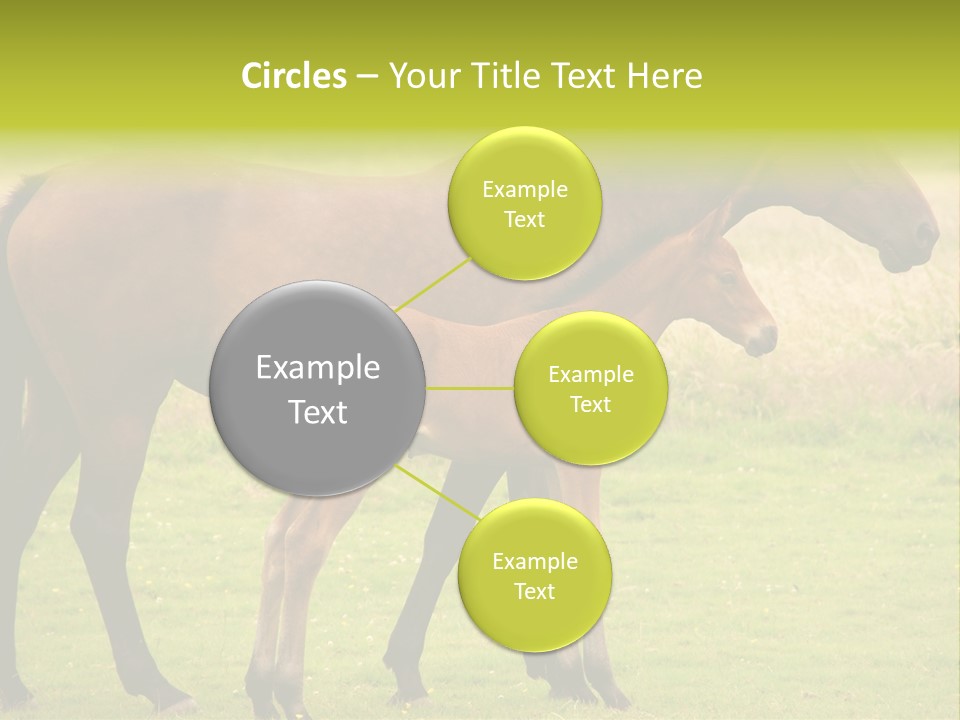 Meadow Animal Young PowerPoint Template