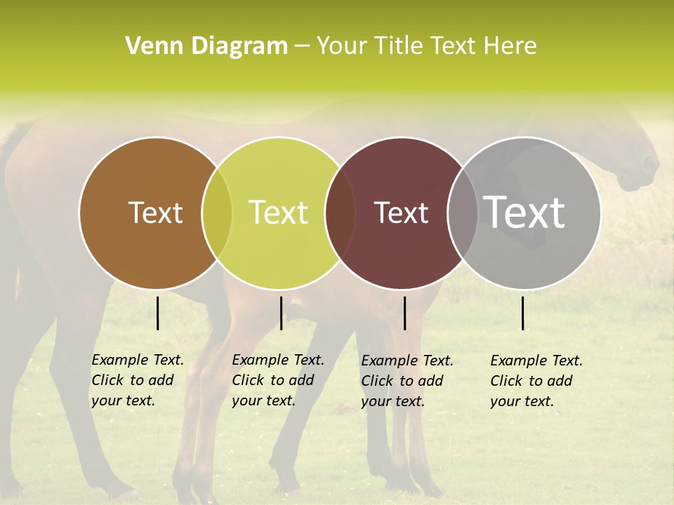 Meadow Animal Young PowerPoint Template