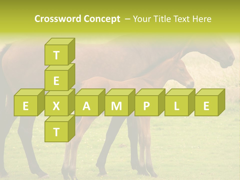 Meadow Animal Young PowerPoint Template