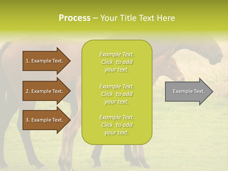 Meadow Animal Young PowerPoint Template