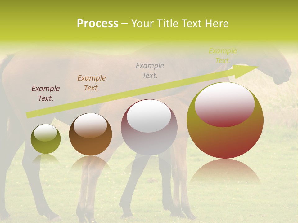 Meadow Animal Young PowerPoint Template