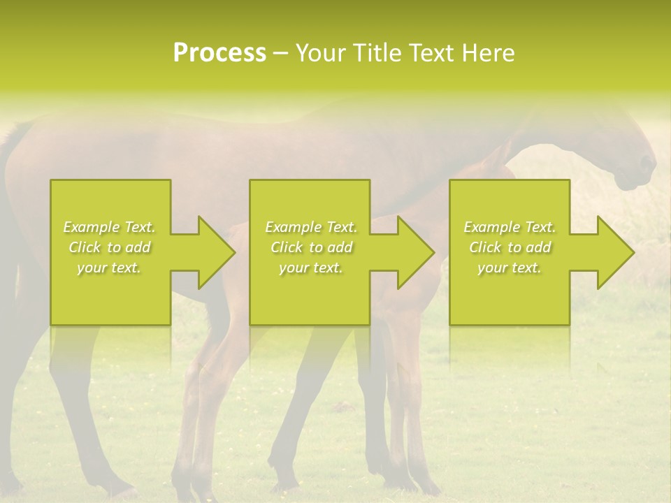 Meadow Animal Young PowerPoint Template