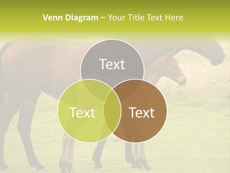 Meadow Animal Young PowerPoint Template