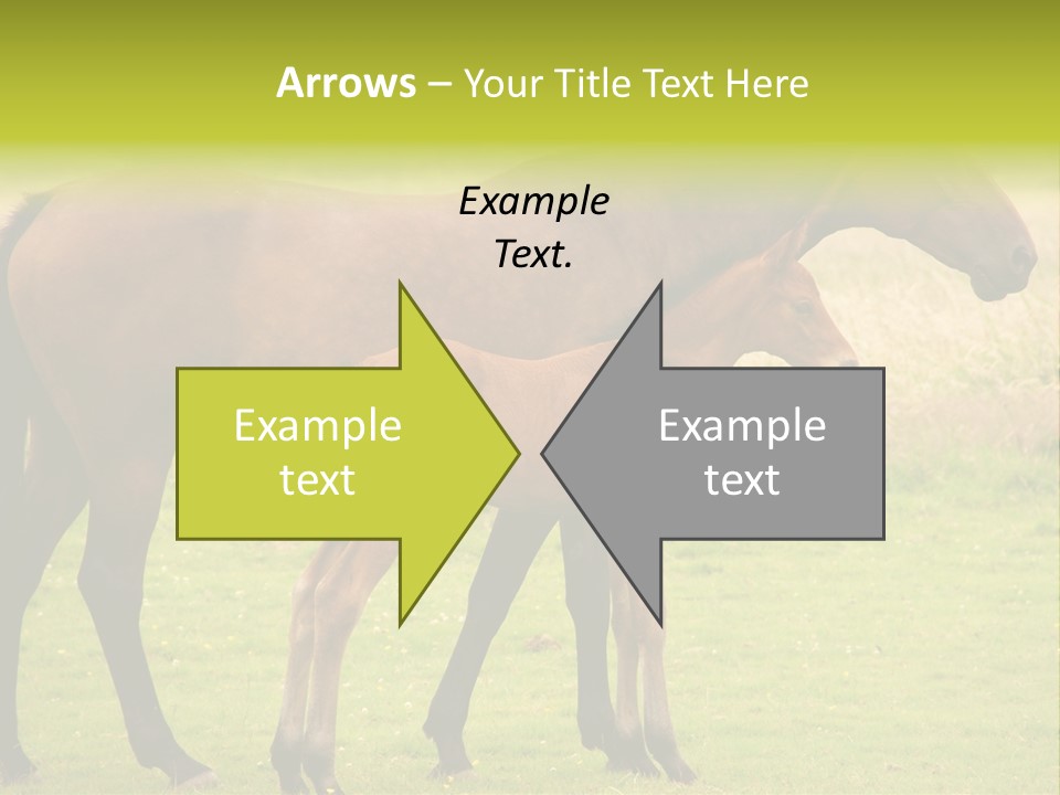 Meadow Animal Young PowerPoint Template