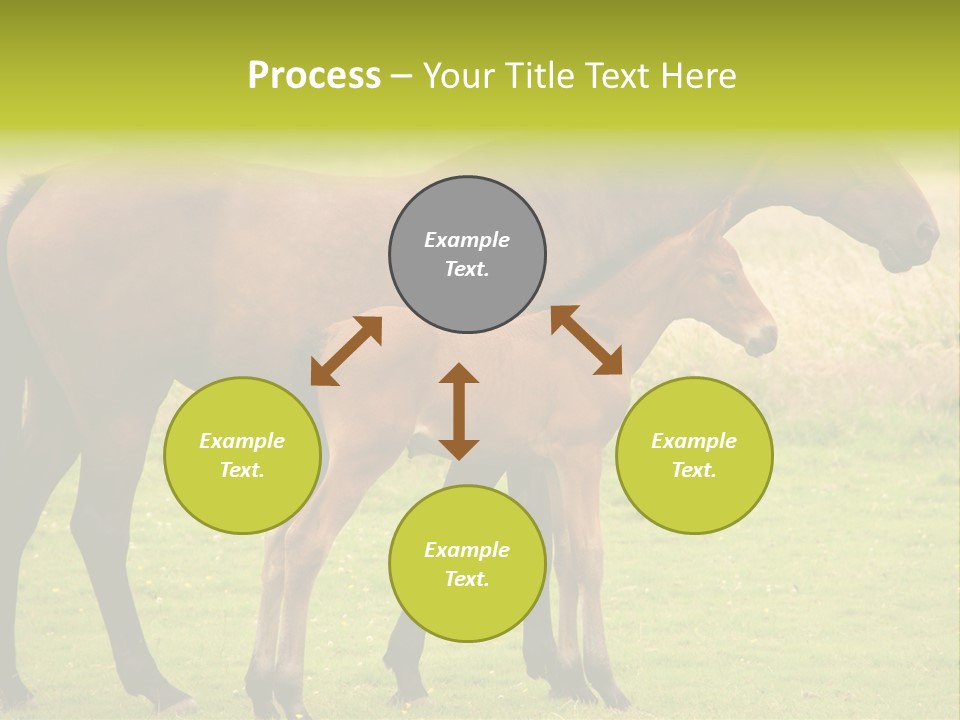 Meadow Animal Young PowerPoint Template