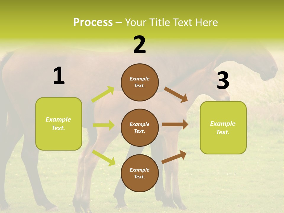 Meadow Animal Young PowerPoint Template