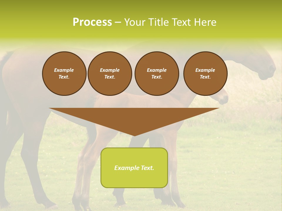 Meadow Animal Young PowerPoint Template