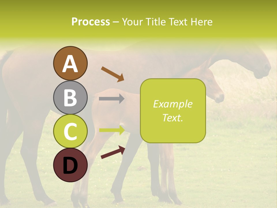 Meadow Animal Young PowerPoint Template