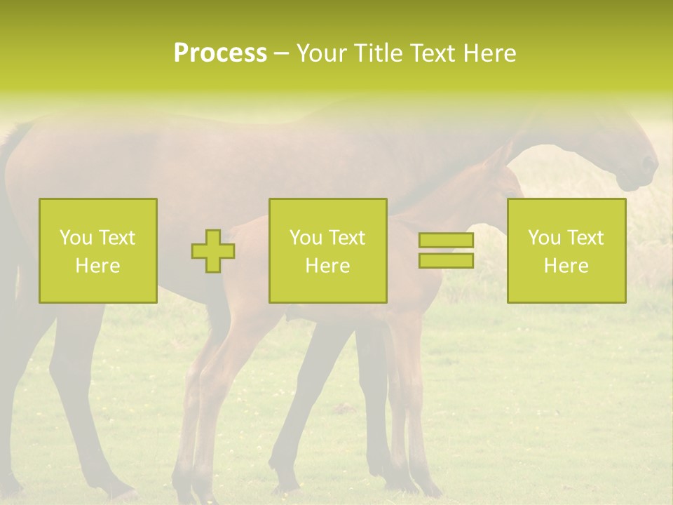 Meadow Animal Young PowerPoint Template