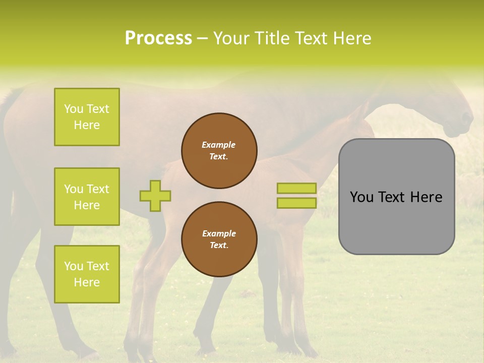 Meadow Animal Young PowerPoint Template