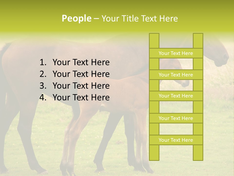 Meadow Animal Young PowerPoint Template