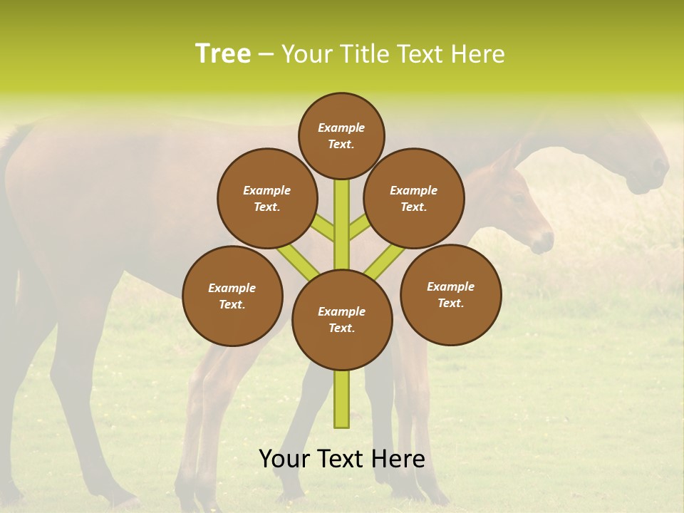 Meadow Animal Young PowerPoint Template