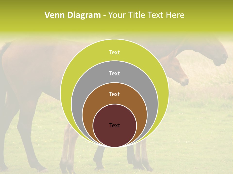 Meadow Animal Young PowerPoint Template