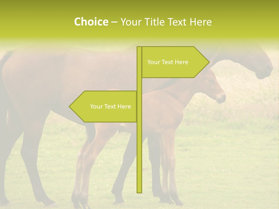 Meadow Animal Young PowerPoint Template