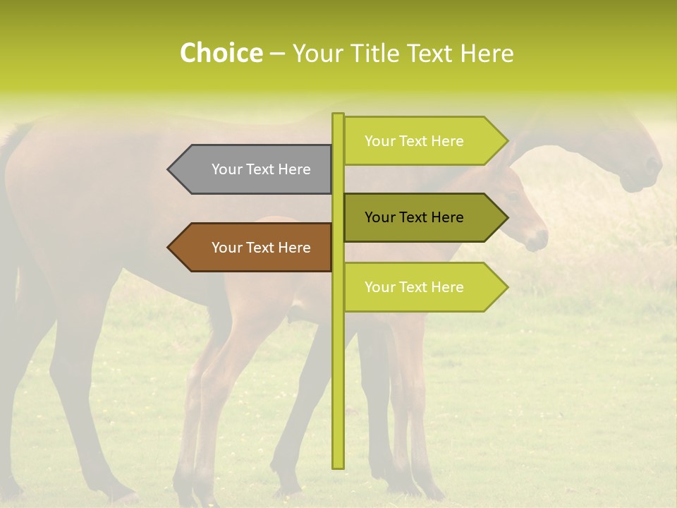 Meadow Animal Young PowerPoint Template