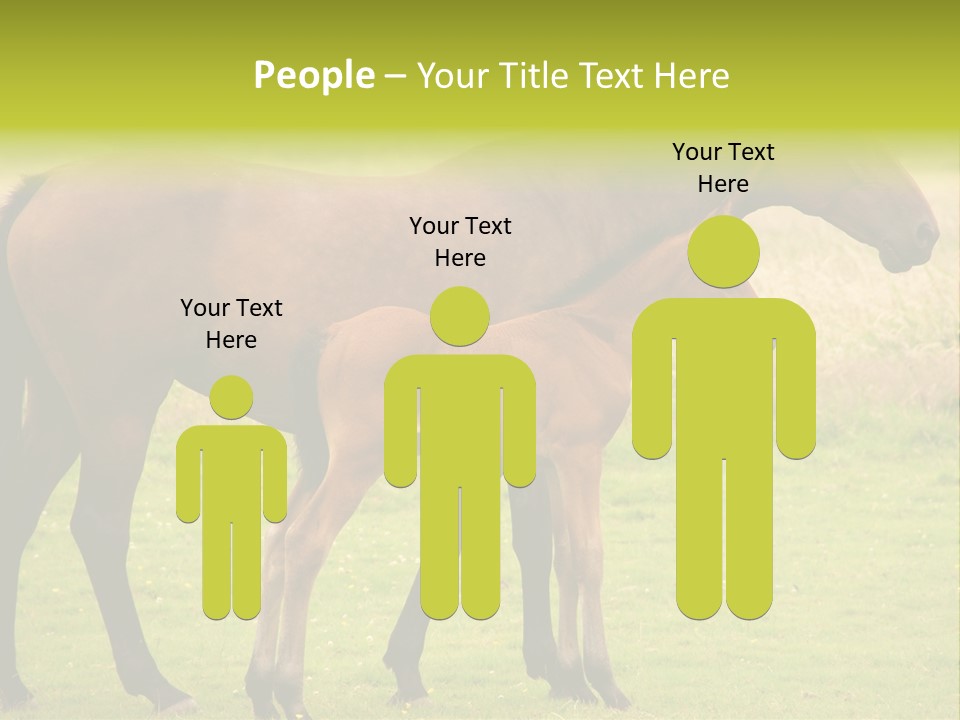 Meadow Animal Young PowerPoint Template