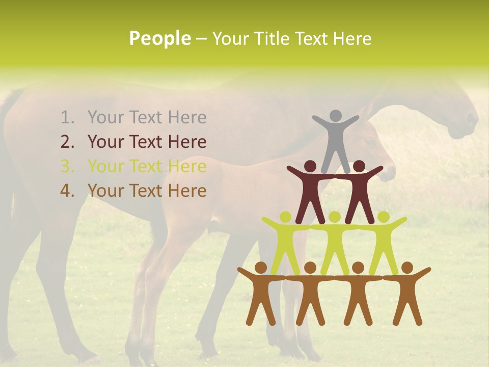 Meadow Animal Young PowerPoint Template