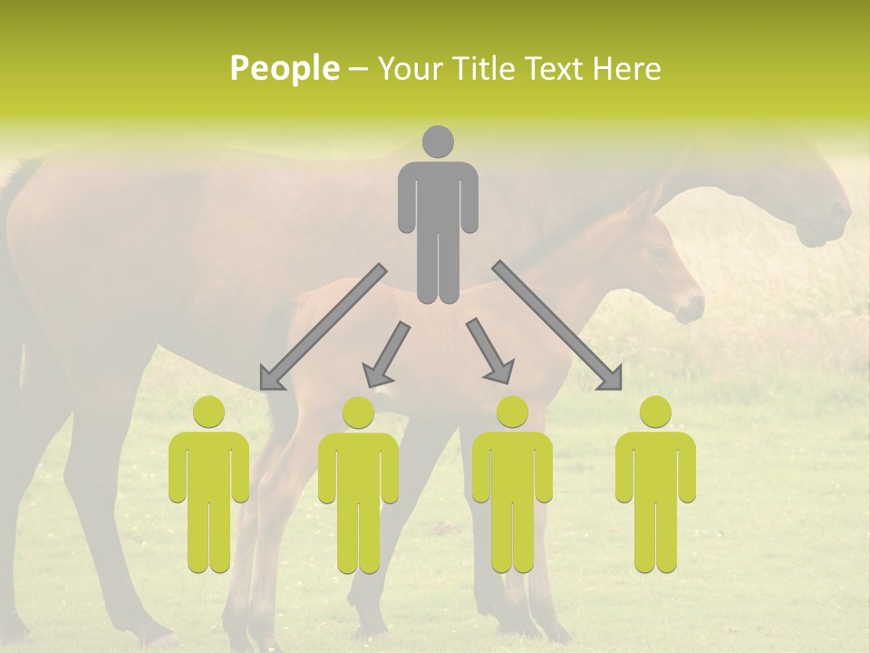 Meadow Animal Young PowerPoint Template