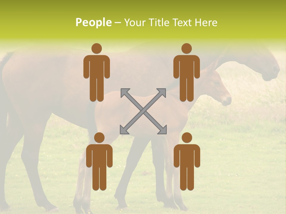 Meadow Animal Young PowerPoint Template