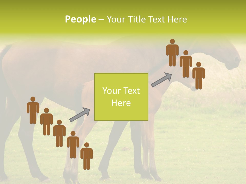 Meadow Animal Young PowerPoint Template