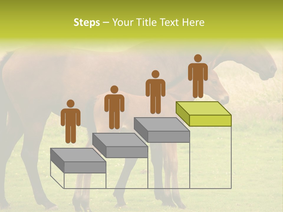 Meadow Animal Young PowerPoint Template