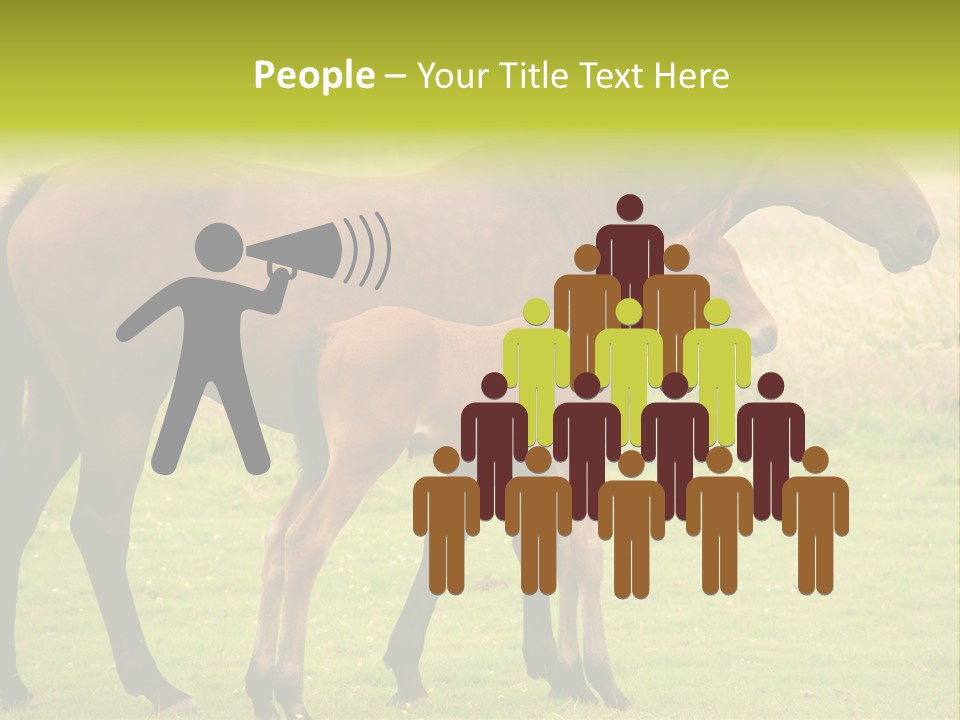 Meadow Animal Young PowerPoint Template