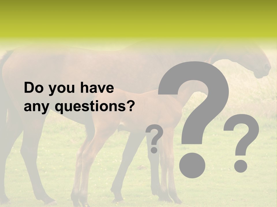 Meadow Animal Young PowerPoint Template