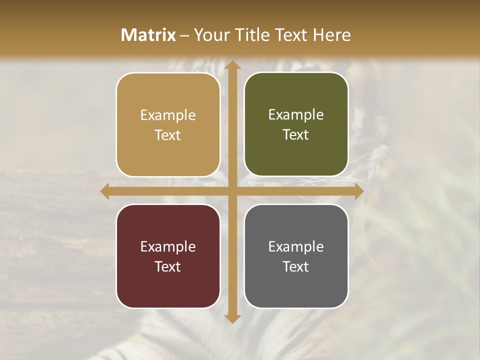 Alertness Wildlife Nature PowerPoint Template