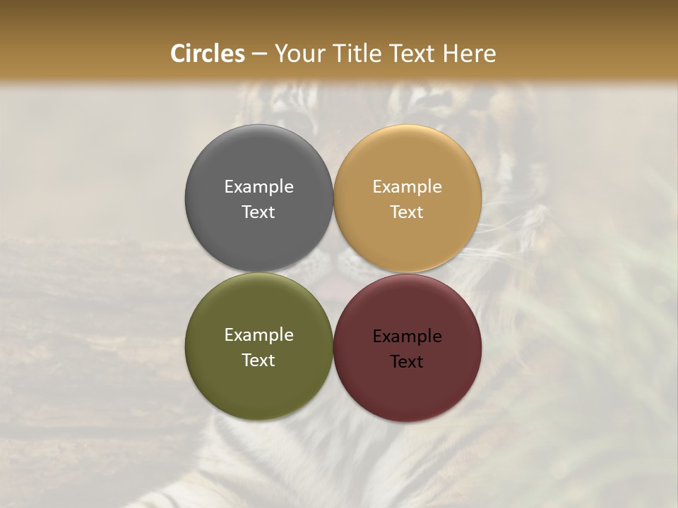 Alertness Wildlife Nature PowerPoint Template