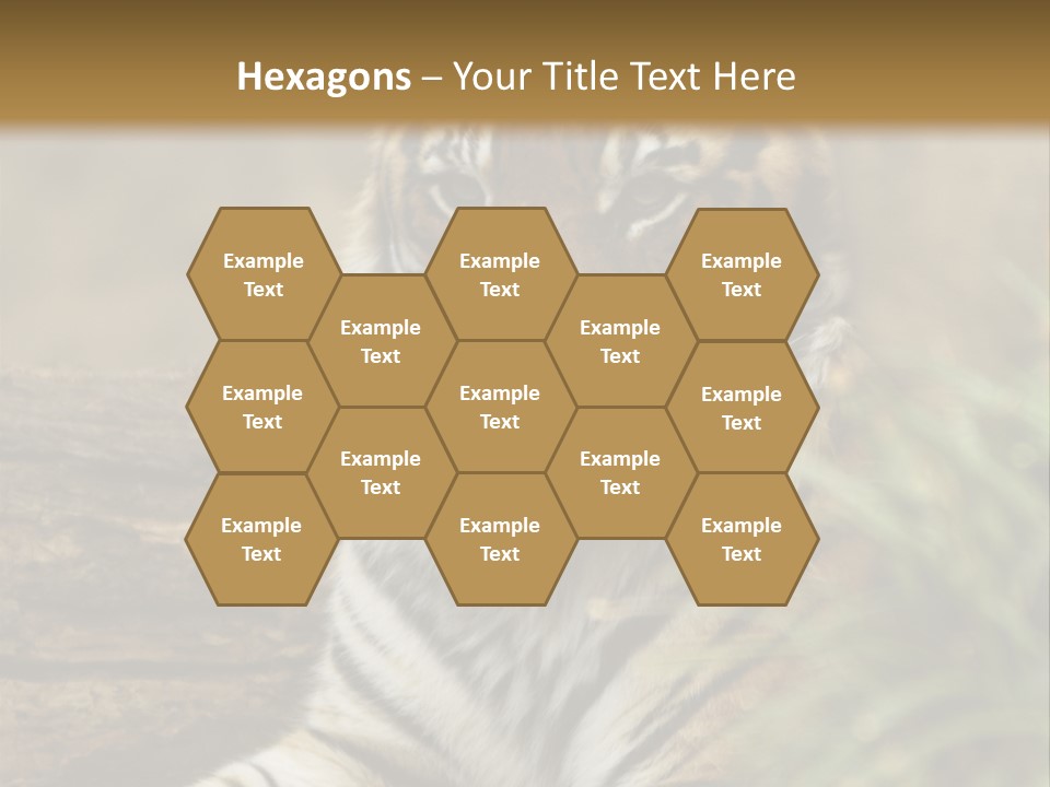 Alertness Wildlife Nature PowerPoint Template