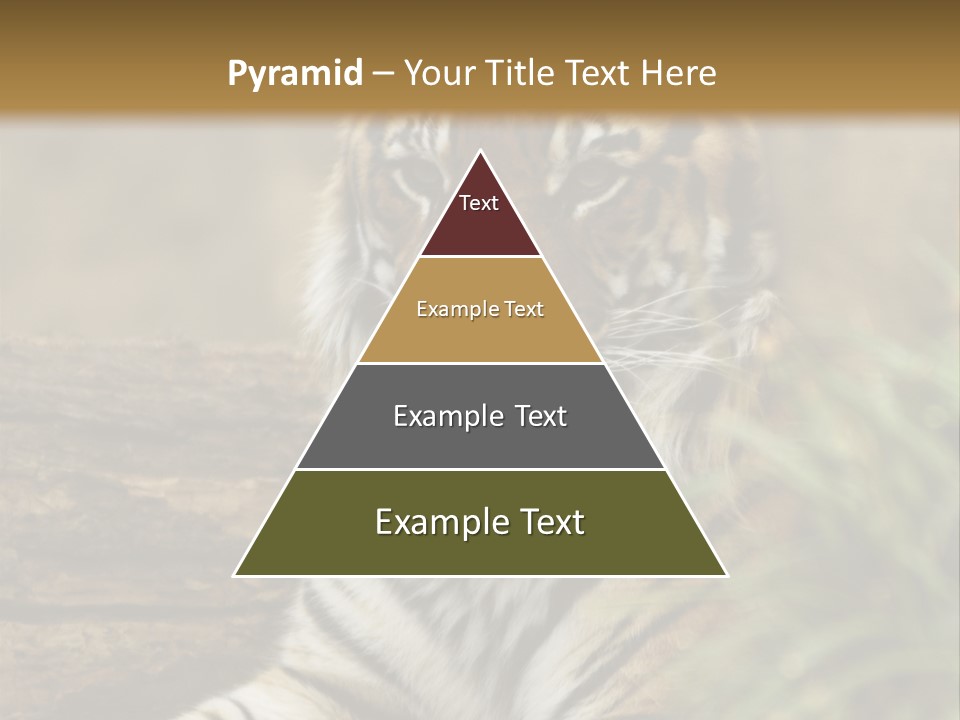 Alertness Wildlife Nature PowerPoint Template