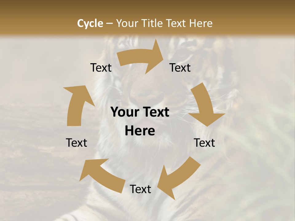 Alertness Wildlife Nature PowerPoint Template