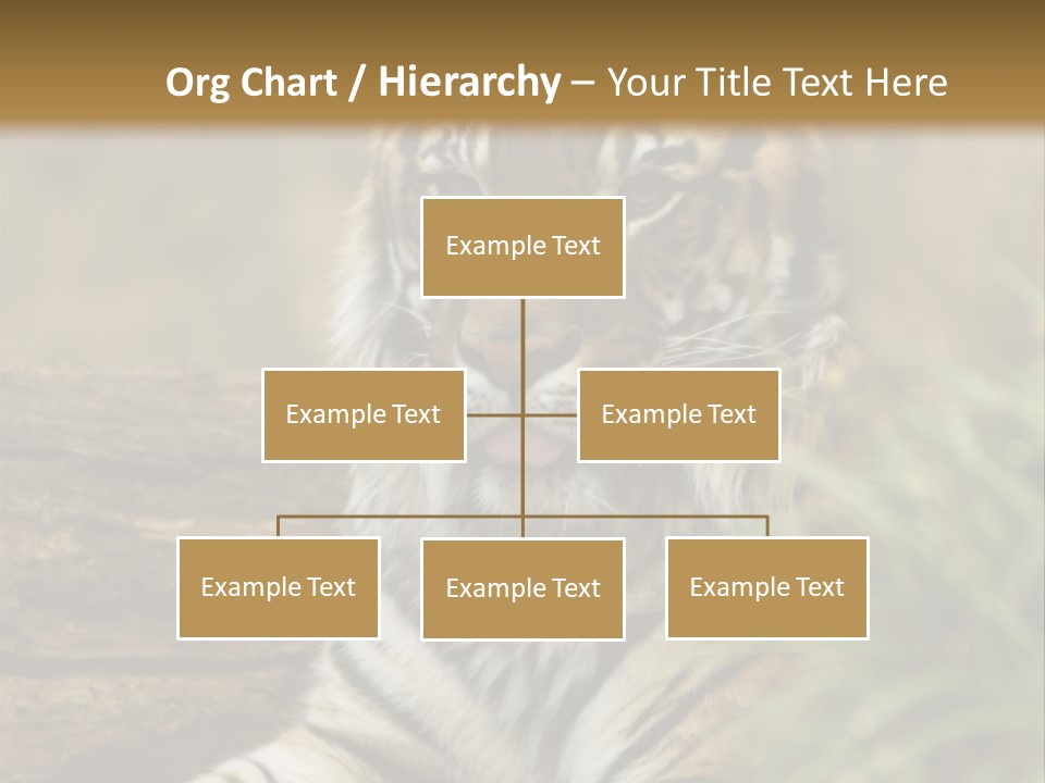 Alertness Wildlife Nature PowerPoint Template