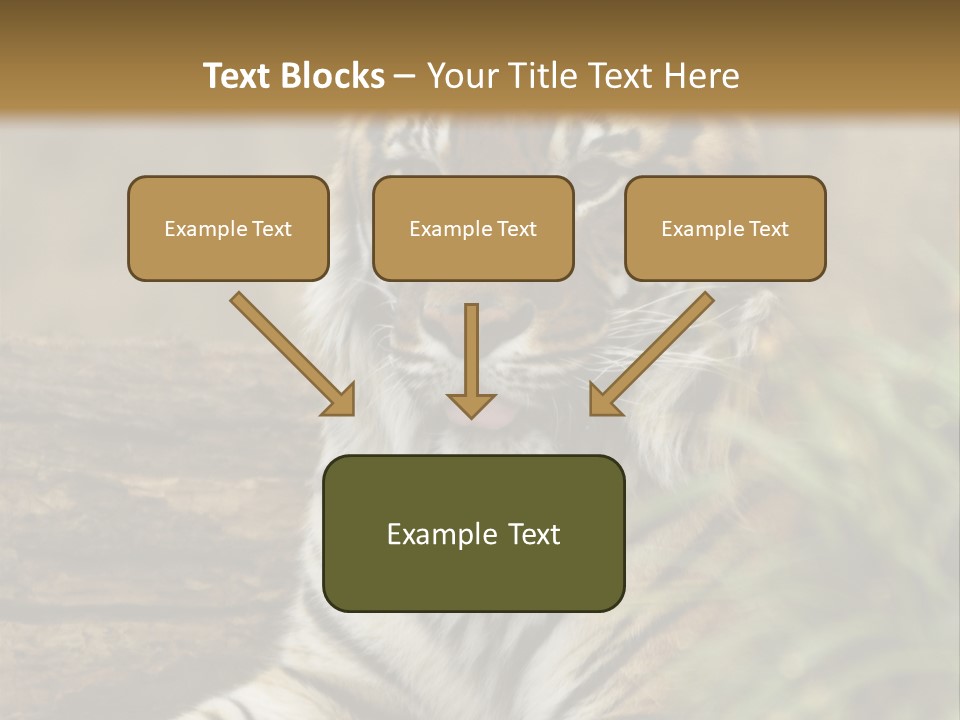 Alertness Wildlife Nature PowerPoint Template