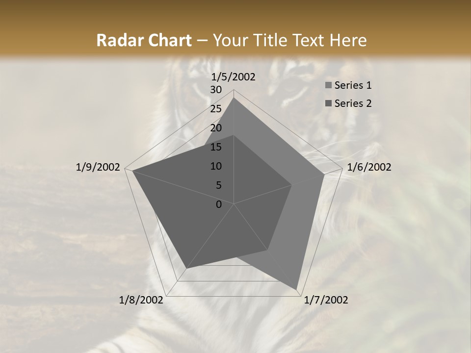 Alertness Wildlife Nature PowerPoint Template