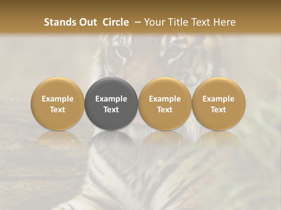 Alertness Wildlife Nature PowerPoint Template