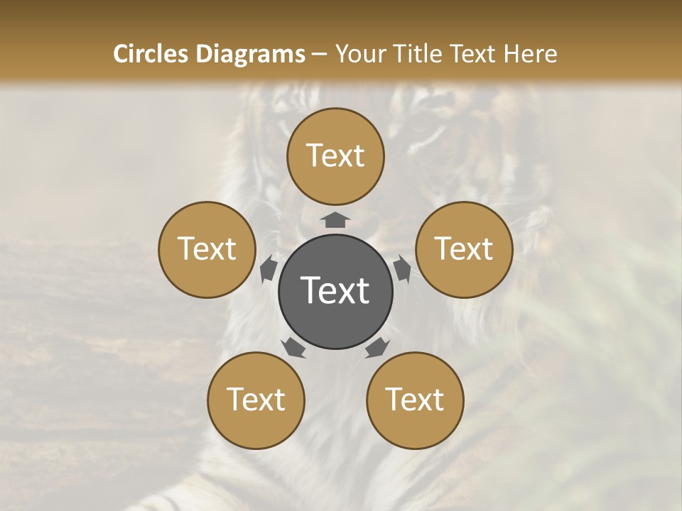 Alertness Wildlife Nature PowerPoint Template