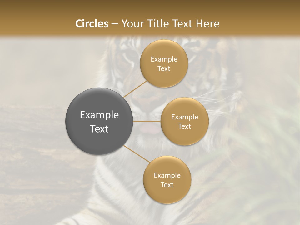 Alertness Wildlife Nature PowerPoint Template