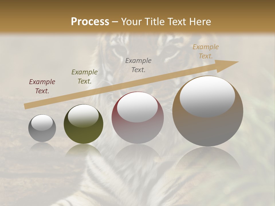 Alertness Wildlife Nature PowerPoint Template